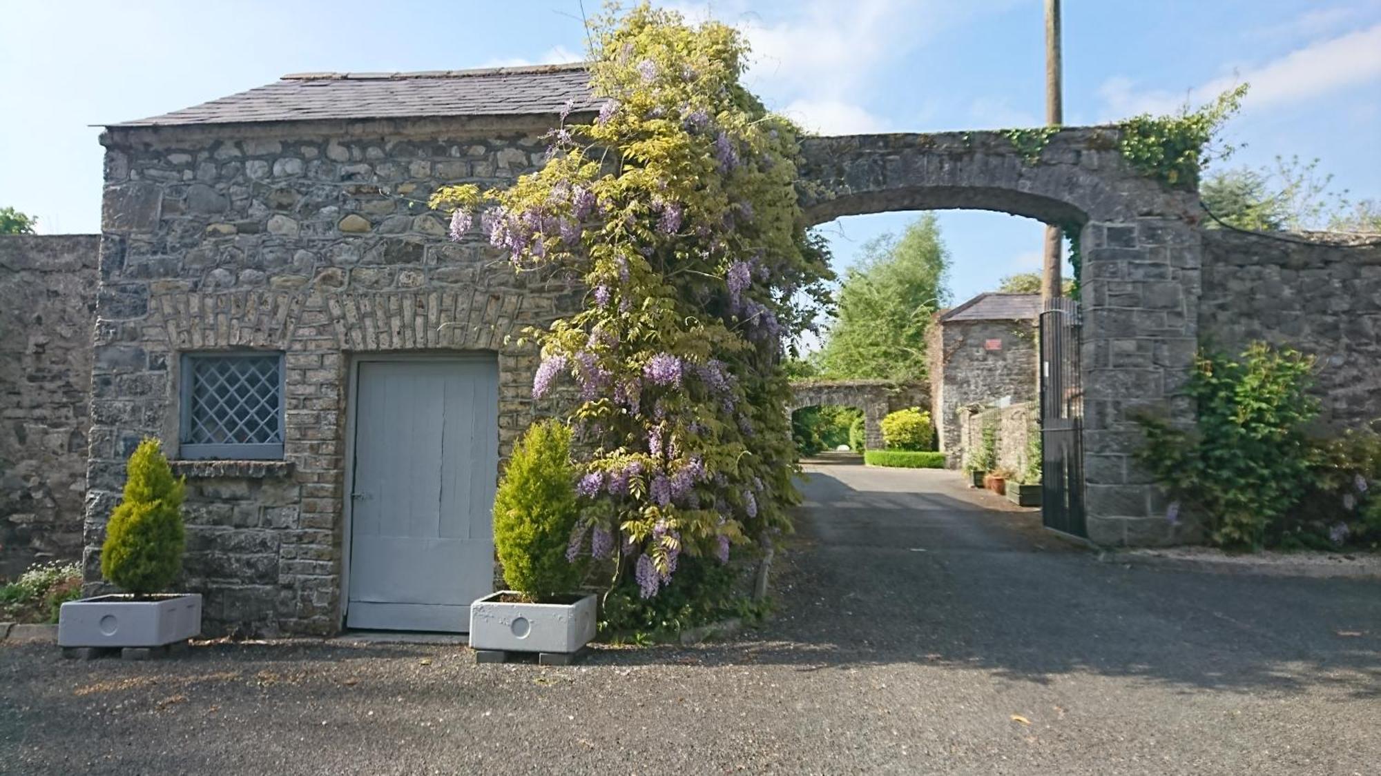 Leixlip Manor Hotel Buitenkant foto